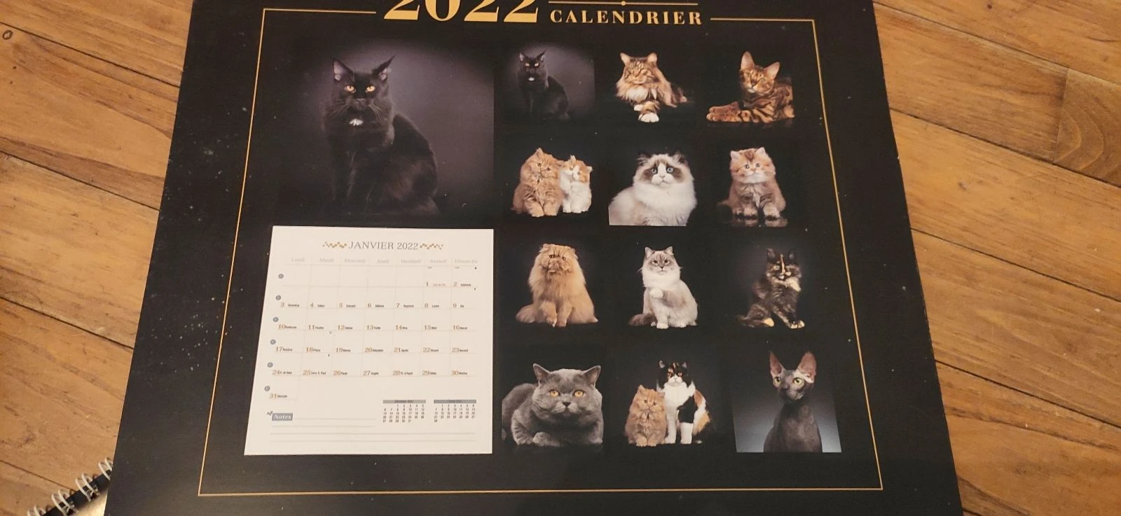 Set kattenkalenders – photo 9